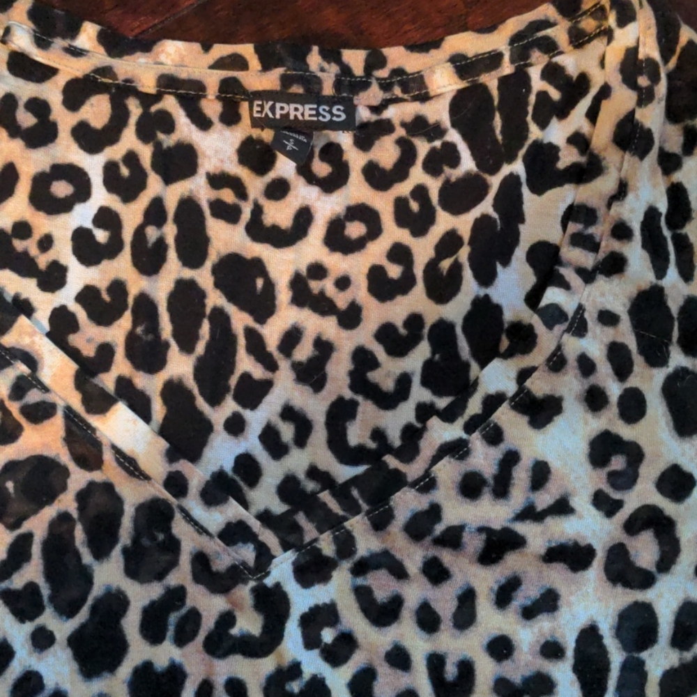 Express V neck long sleeve sheer top - Picture 3 of 3